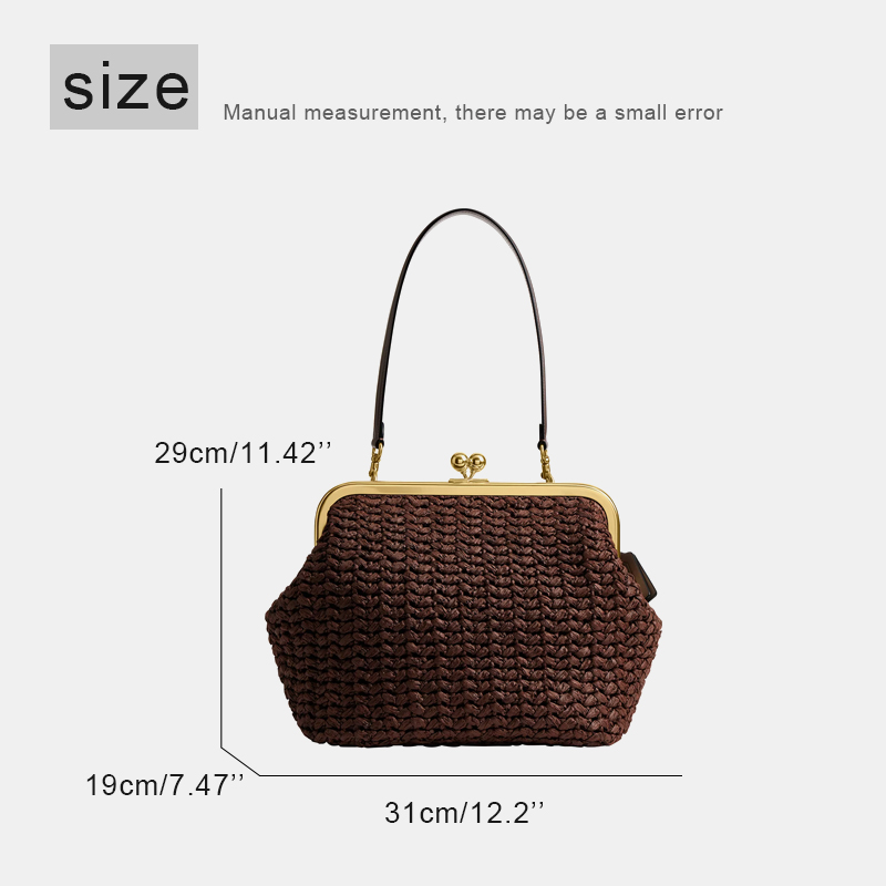 Hand-Woven Kisslock Frame Shou - Women Bags 2026 Trends review and price