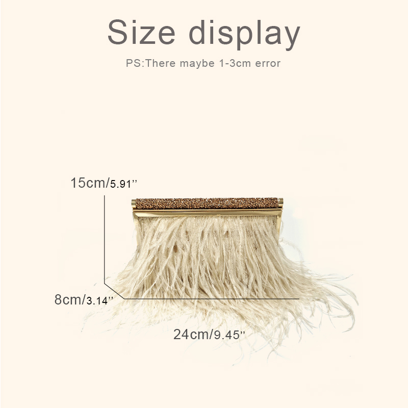 Fashion Clutch Metal frame Eve - Women Bags 2026 Trends review and price