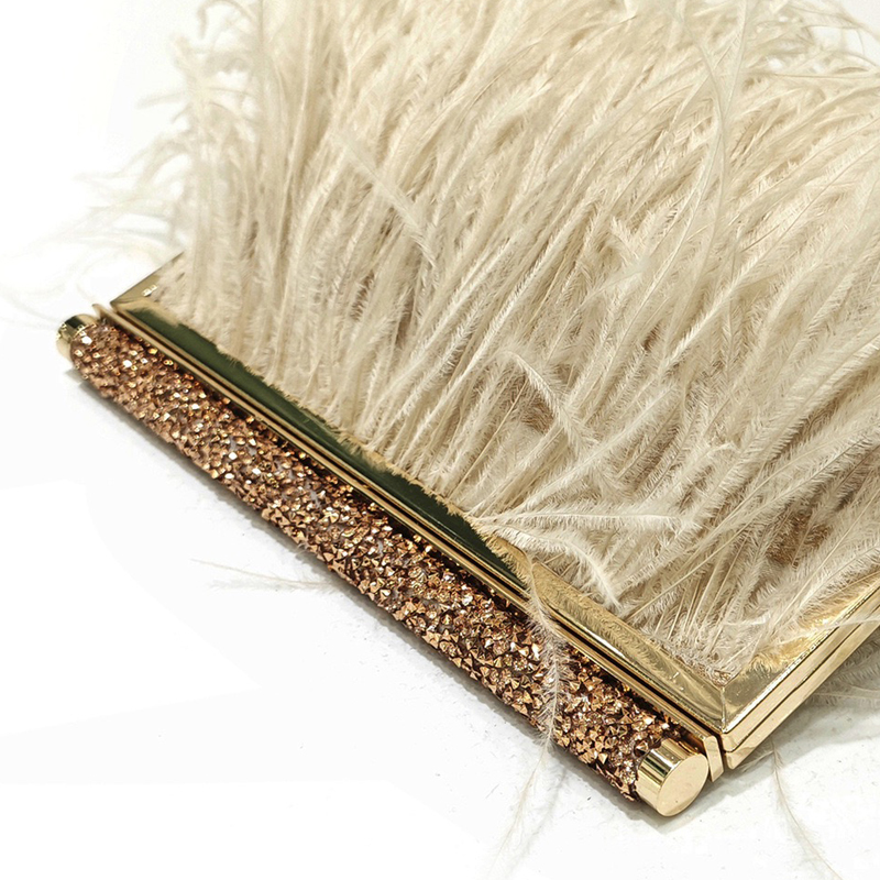 Fashion Clutch Metal frame Eve - Women Bags 2026 Trends review and price